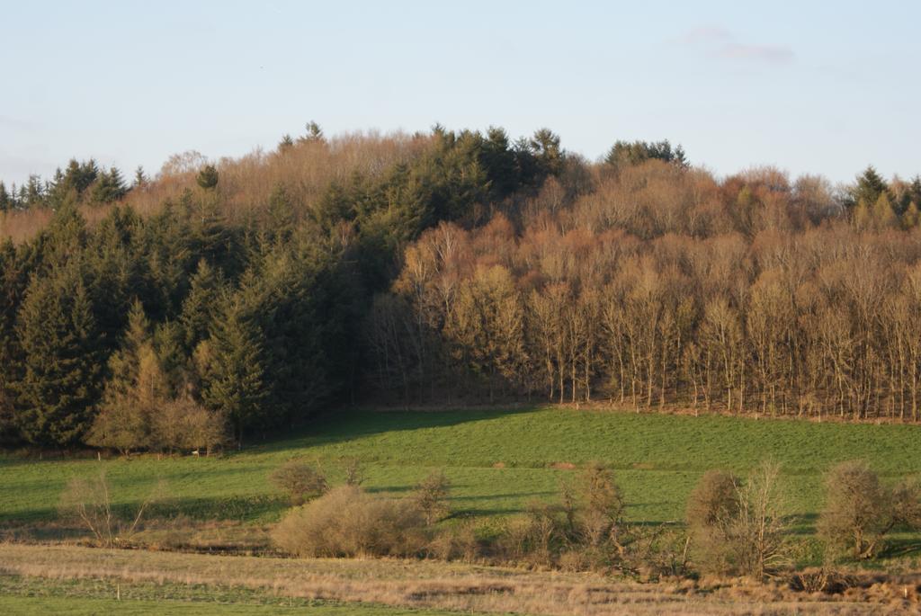 Le Gite De L Ourthe Ortheuville Zewnętrze zdjęcie