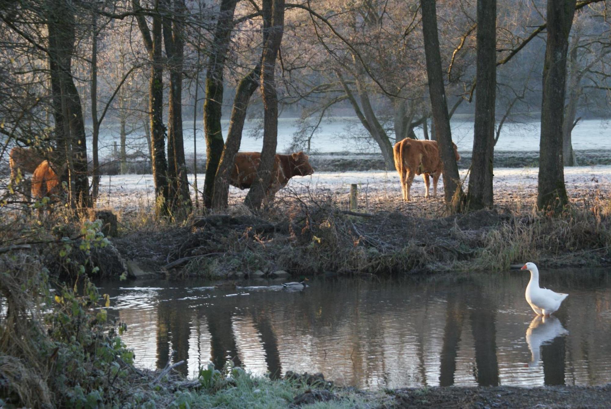 Le Gite De L Ourthe Ortheuville Zewnętrze zdjęcie