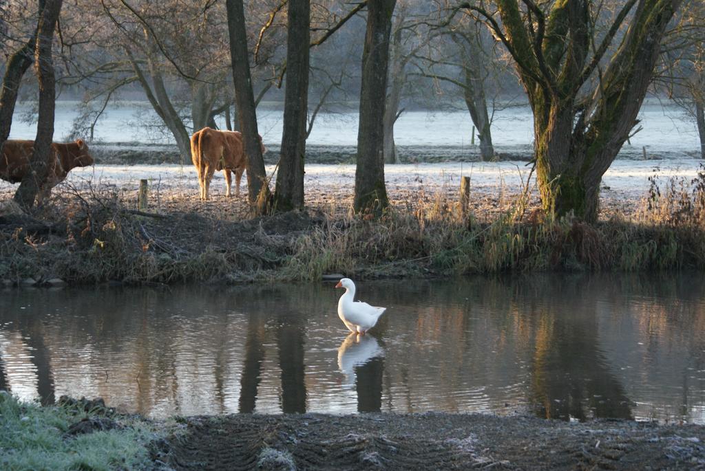 Le Gite De L Ourthe Ortheuville Zewnętrze zdjęcie