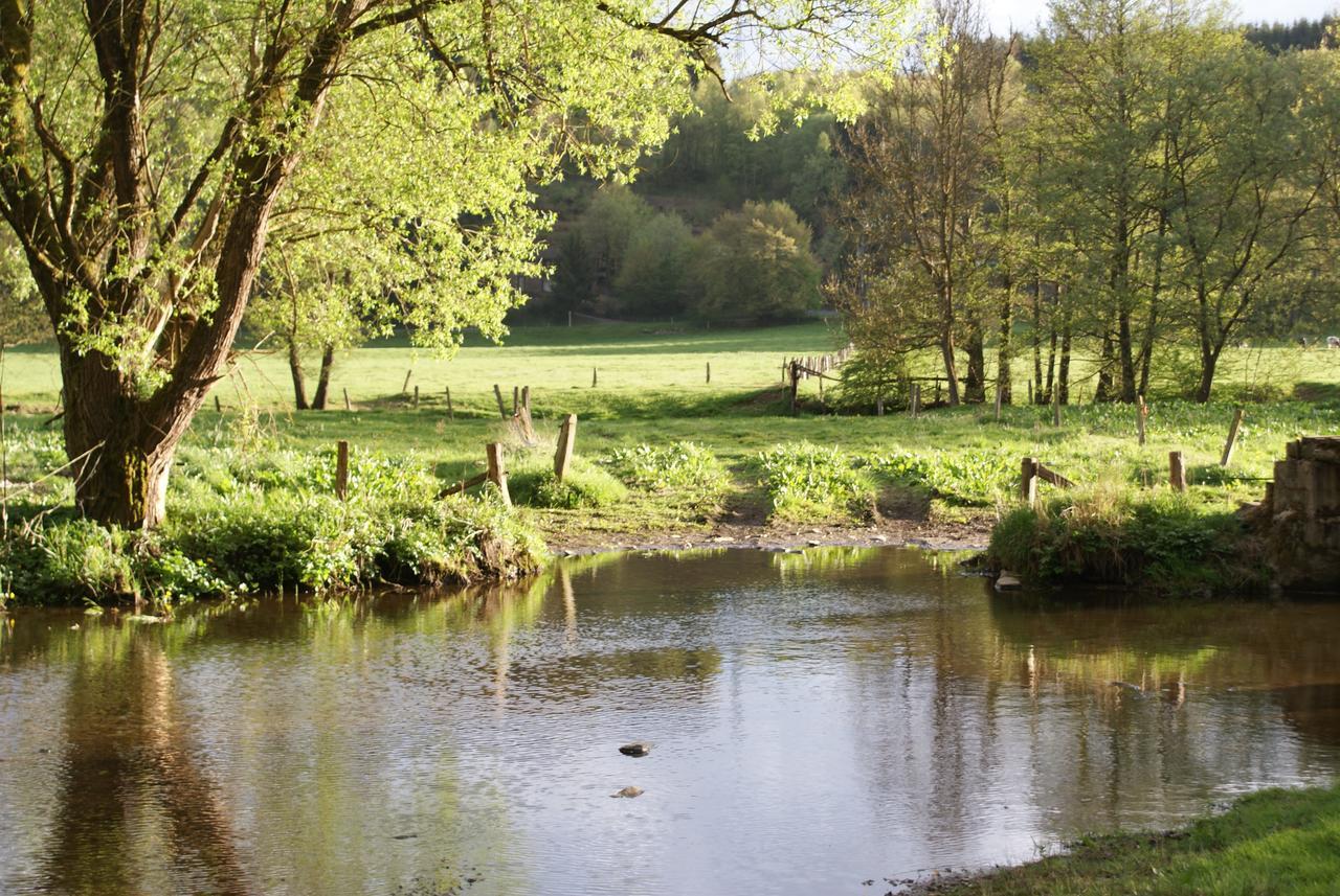 Le Gite De L Ourthe Ortheuville Zewnętrze zdjęcie
