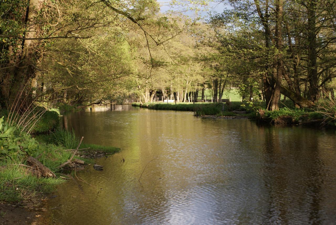 Le Gite De L Ourthe Ortheuville Zewnętrze zdjęcie